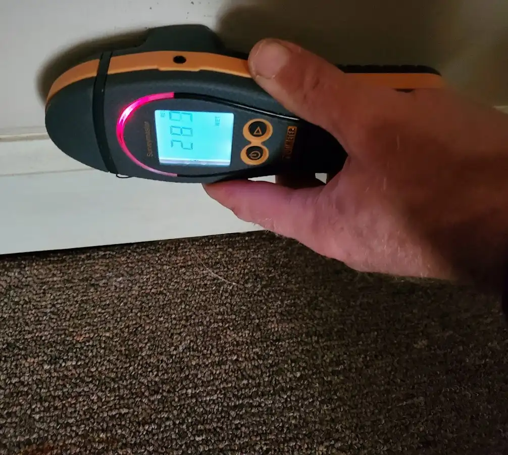 Moisture detection at baseboard during Sewage Cleanup & Sanitation in West Samoset